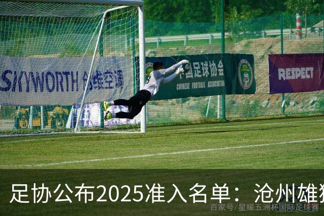足协公布2025准入名单：沧州雄狮、广州队无缘